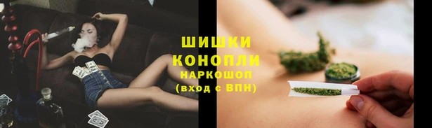 мяу мяу мука Кинешма